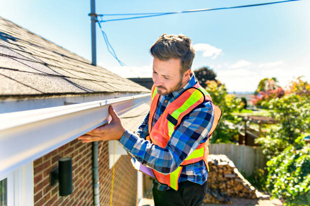 Best Roof Insulation Installation  in Pontoon Beach, IL